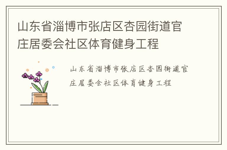 山東省淄博市張店區杏園街道官莊居委會社區體育健身工程