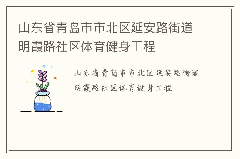 山東省青島市市北區(qū)延安路街道明霞路社區(qū)體育健身工程
