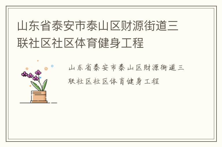 山東省泰安市泰山區財源街道三聯社區社區體育健身工程