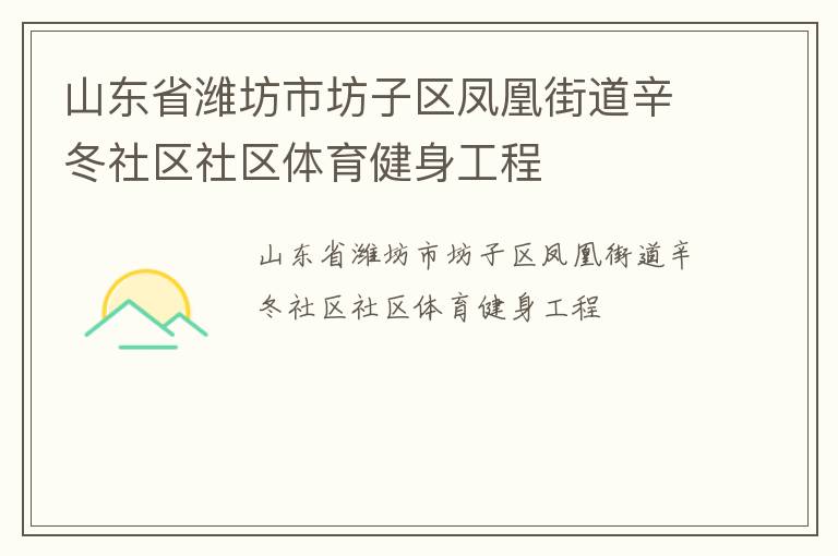 山東省濰坊市坊子區鳳凰街道辛冬社區社區體育健身工程
