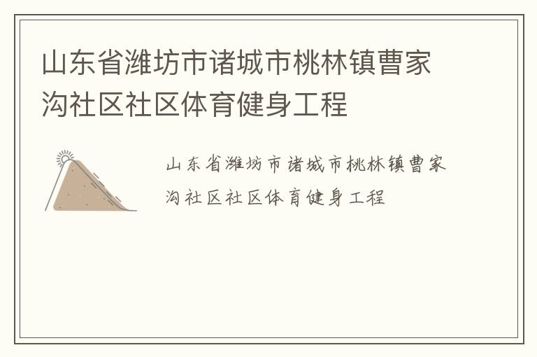 山東省濰坊市諸城市桃林鎮曹家溝社區社區體育健身工程