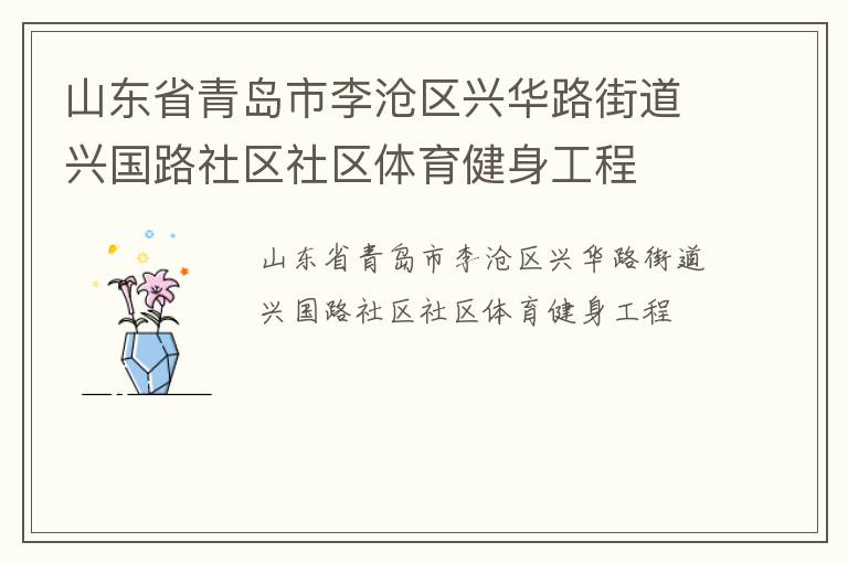 山東省青島市李滄區興華路街道興國路社區社區體育健身工程