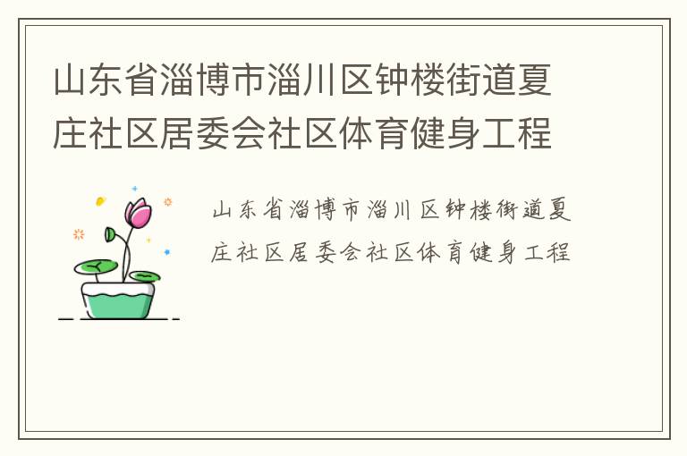 山東省淄博市淄川區(qū)鐘樓街道夏莊社區(qū)居委會社區(qū)體育健身工程