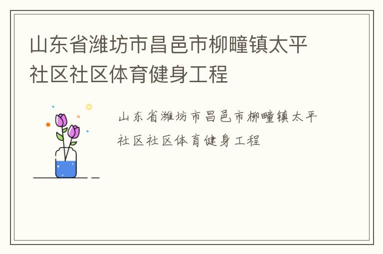山東省濰坊市昌邑市柳疃鎮太平社區社區體育健身工程