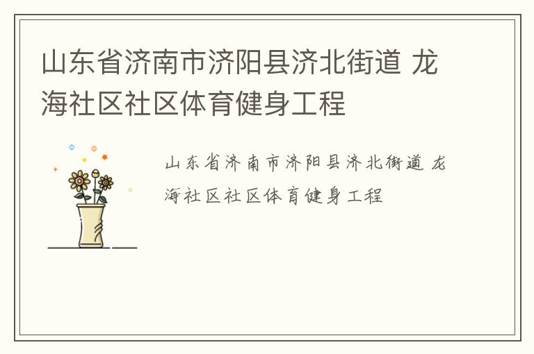 山東省濟(jì)南市濟(jì)陽(yáng)縣濟(jì)北街道 龍海社區(qū)社區(qū)體育健身工程