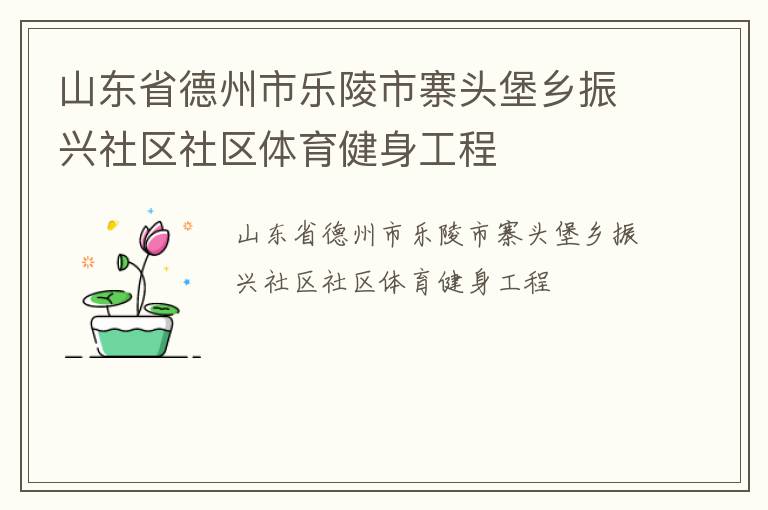 山東省德州市樂陵市寨頭堡鄉振興社區社區體育健身工程