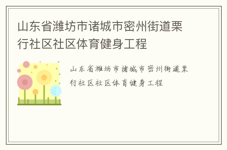 山東省濰坊市諸城市密州街道栗行社區社區體育健身工程