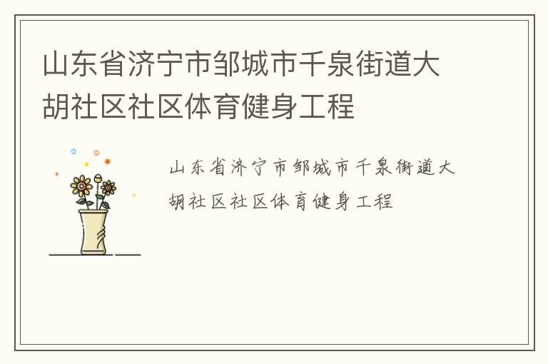 山東省濟寧市鄒城市千泉街道大胡社區社區體育健身工程