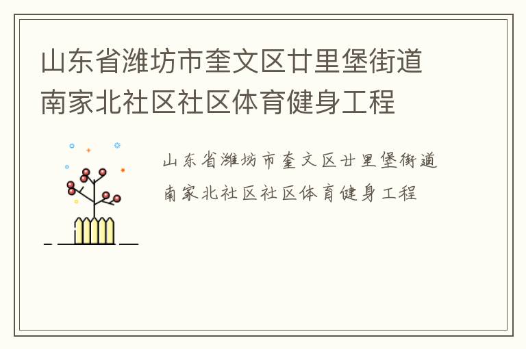 山東省濰坊市奎文區廿里堡街道南家北社區社區體育健身工程