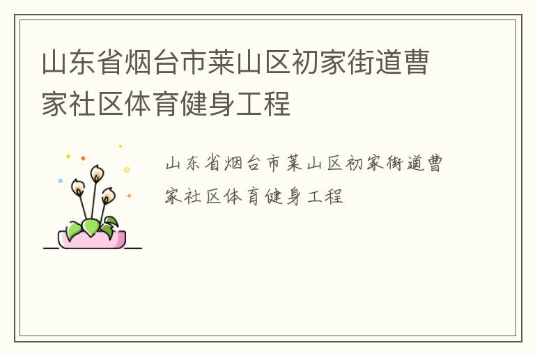 山東省煙臺市萊山區初家街道曹家社區體育健身工程