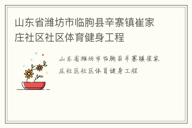山東省濰坊市臨朐縣辛寨鎮崔家莊社區社區體育健身工程