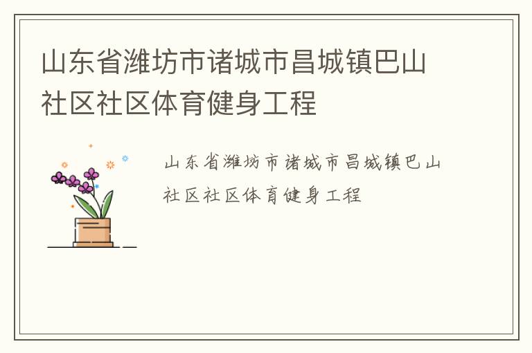 山東省濰坊市諸城市昌城鎮(zhèn)巴山社區(qū)社區(qū)體育健身工程