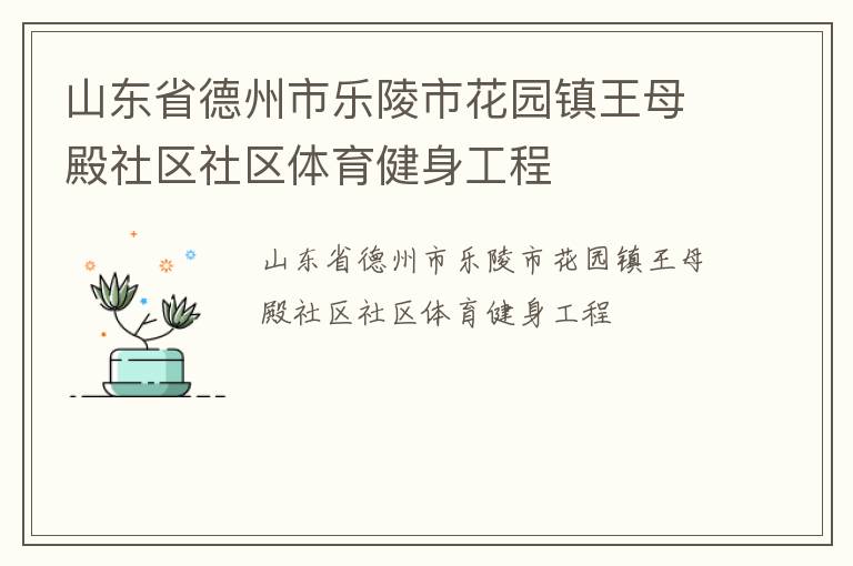 山東省德州市樂陵市花園鎮王母殿社區社區體育健身工程