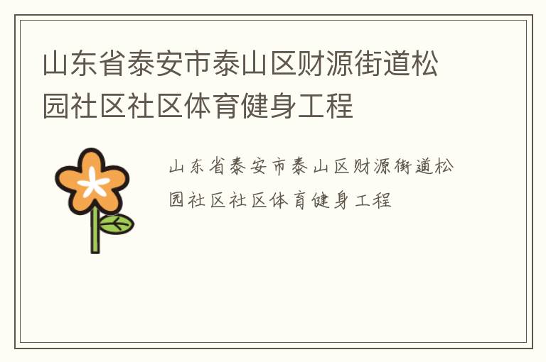 山東省泰安市泰山區(qū)財(cái)源街道松園社區(qū)社區(qū)體育健身工程