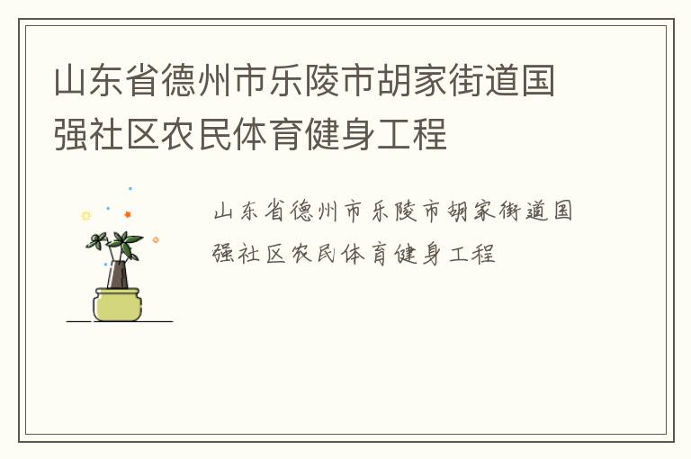 山東省德州市樂(lè)陵市胡家街道國(guó)強(qiáng)社區(qū)農(nóng)民體育健身工程
