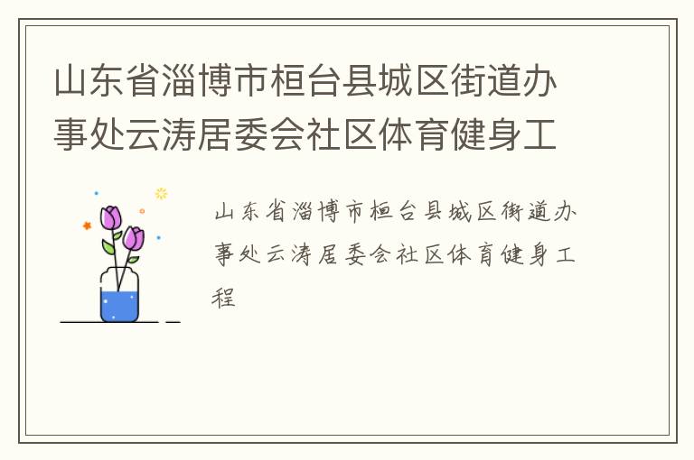 山東省淄博市桓臺縣城區街道辦事處云濤居委會社區體育健身工程