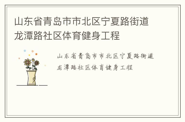 山東省青島市市北區寧夏路街道龍潭路社區體育健身工程