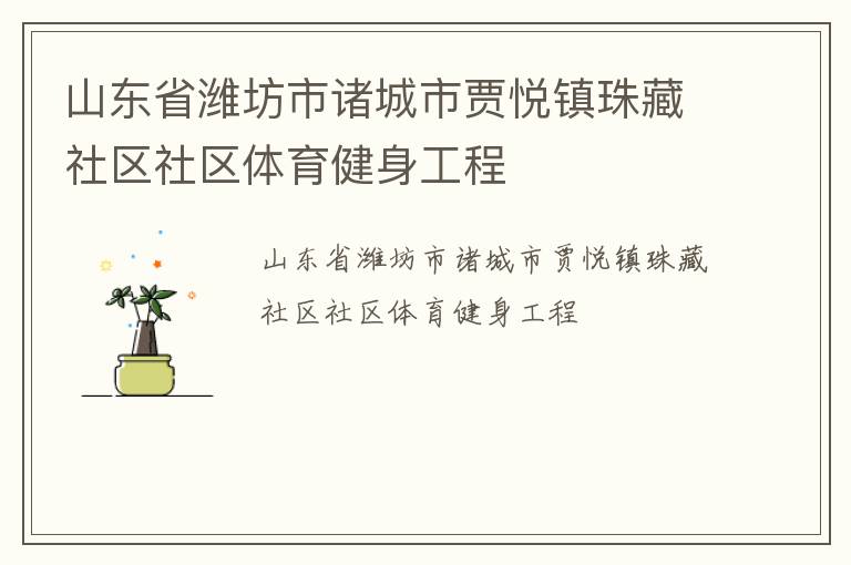 山東省濰坊市諸城市賈悅鎮珠藏社區社區體育健身工程