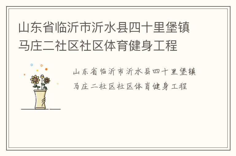 山東省臨沂市沂水縣四十里堡鎮馬莊二社區社區體育健身工程