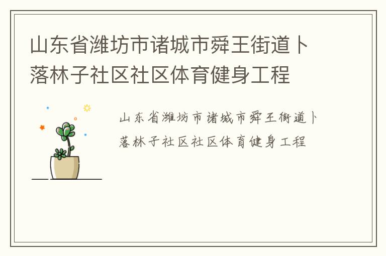 山東省濰坊市諸城市舜王街道卜落林子社區社區體育健身工程