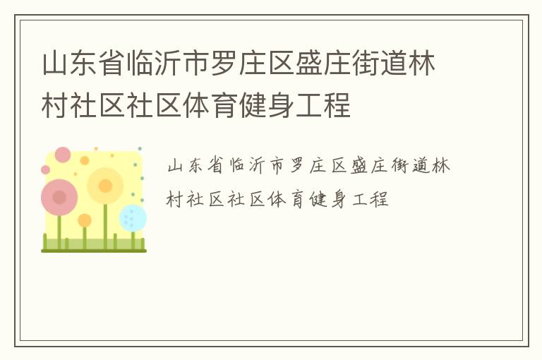 山東省臨沂市羅莊區盛莊街道林村社區社區體育健身工程