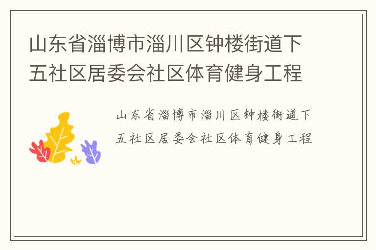山東省淄博市淄川區鐘樓街道下五社區居委會社區體育健身工程