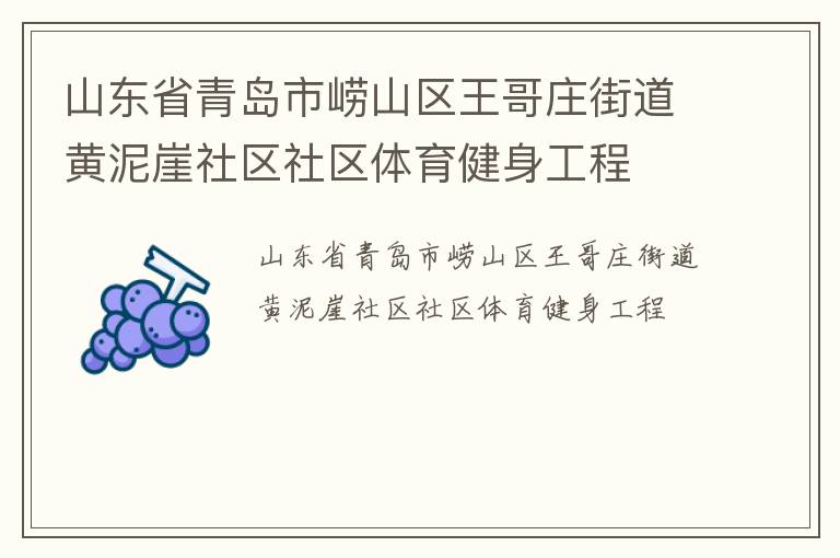 山東省青島市嶗山區王哥莊街道黃泥崖社區社區體育健身工程