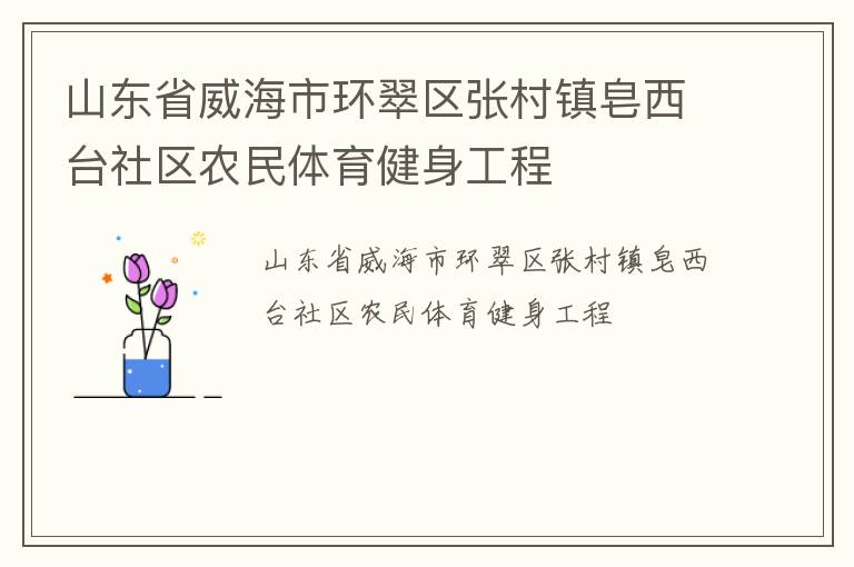 山東省威海市環翠區張村鎮皂西臺社區農民體育健身工程