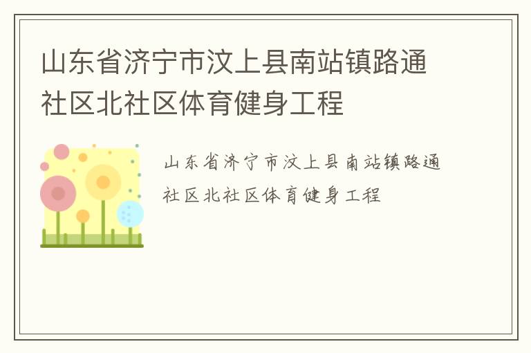 山東省濟寧市汶上縣南站鎮路通社區北社區體育健身工程