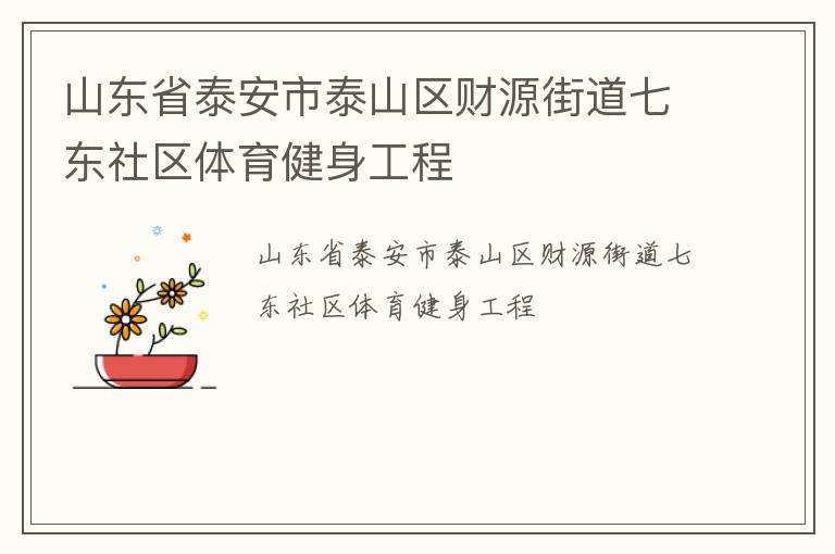 山東省泰安市泰山區財源街道七東社區體育健身工程