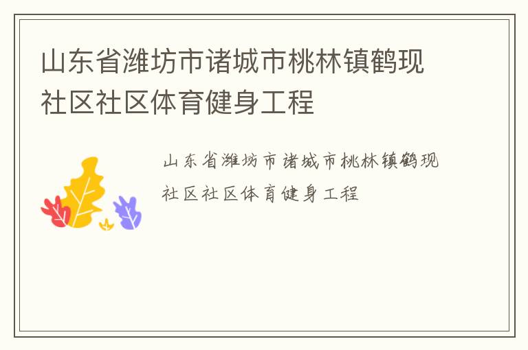 山東省濰坊市諸城市桃林鎮鶴現社區社區體育健身工程