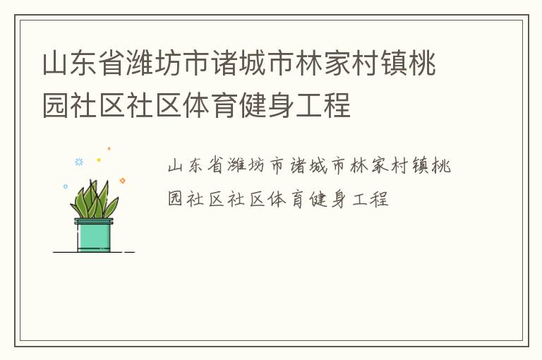 山東省濰坊市諸城市林家村鎮桃園社區社區體育健身工程
