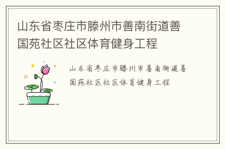 山東省棗莊市滕州市善南街道善國苑社區社區體育健身工程