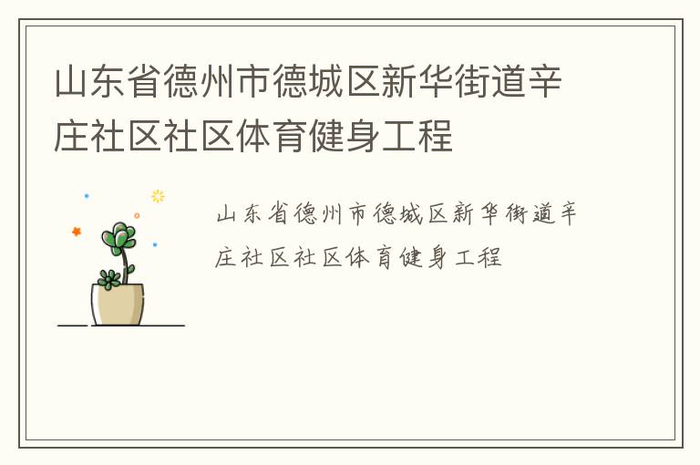 山東省德州市德城區(qū)新華街道辛莊社區(qū)社區(qū)體育健身工程