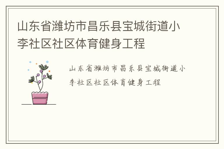 山東省濰坊市昌樂縣寶城街道小李社區社區體育健身工程