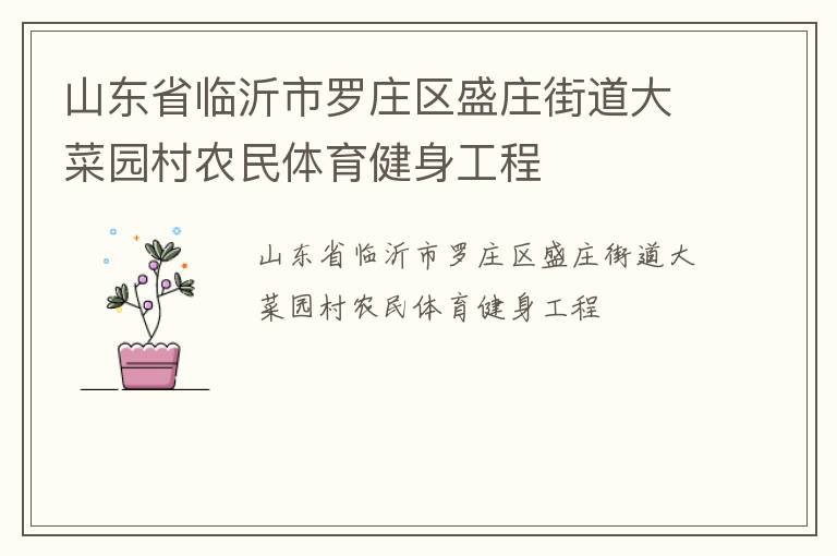 山東省臨沂市羅莊區盛莊街道大菜園村農民體育健身工程