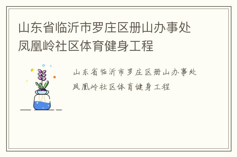山東省臨沂市羅莊區冊山辦事處鳳凰嶺社區體育健身工程