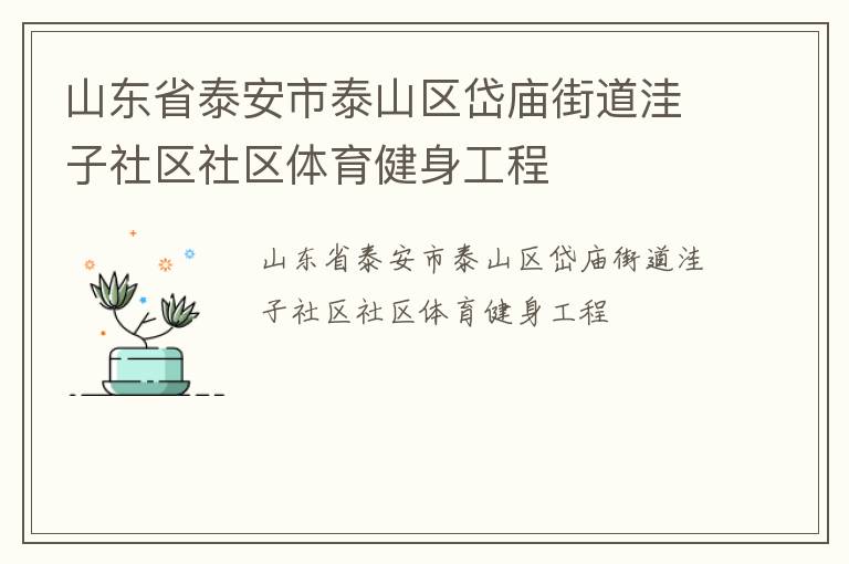 山東省泰安市泰山區岱廟街道洼子社區社區體育健身工程