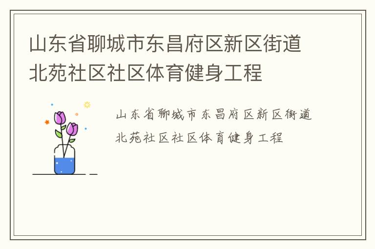 山東省聊城市東昌府區新區街道北苑社區社區體育健身工程
