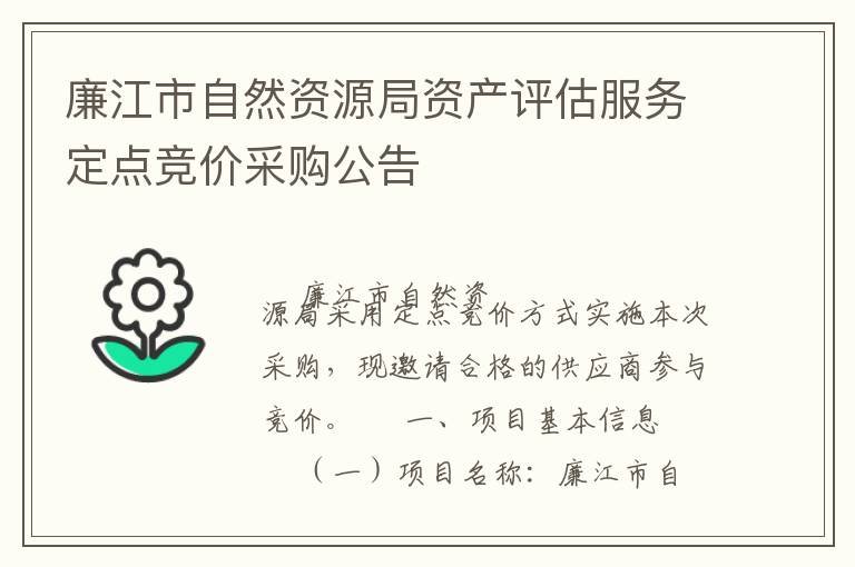 廉江市自然資源局資產評估服務定點競價采購公告