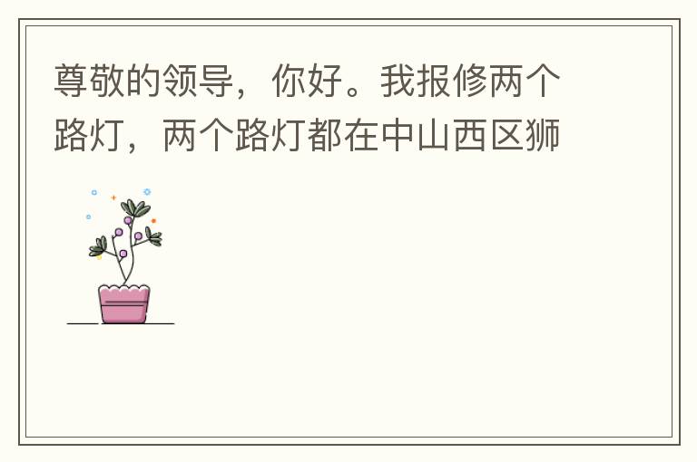 尊敬的領(lǐng)導，你好。我報修兩個路燈，兩個路燈都在中山西區(qū)獅滘口大橋。1.富華往濱江一號，下橋倒數(shù)第二支路燈已經(jīng)損壞。 2.濱江一號往富華方向，下橋最后一支路燈已經(jīng)損壞。麻煩及時修復，減少意外的發(fā)生。謝謝