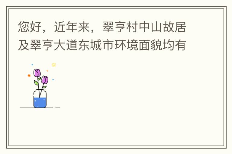您好，近年來，翠亨村中山故居及翠亨大道東城市環境面貌均有所提升。但周邊環境仍然不夠理想，稍顯臟亂差，與5A風景區的定位不相協調，望繼續盡快改善為宜。多謝