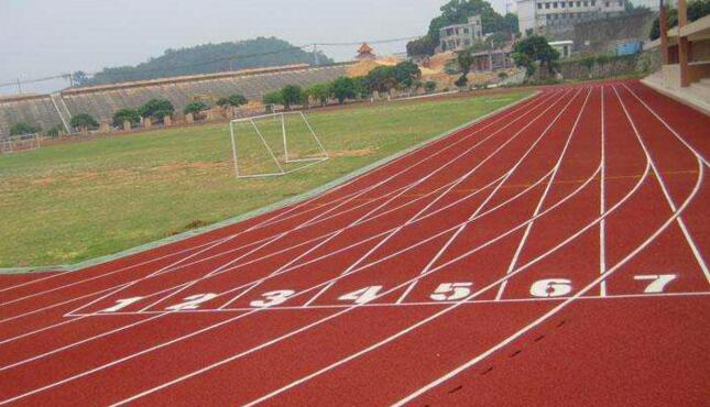 自結紋<a href=http://m.cnzcn.net.cn target=_blank class=infotextkey>塑膠跑道</a>