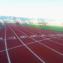 信聯 塑膠跑道 學校塑膠跑道 球場塑膠跑道 工程塑膠跑道