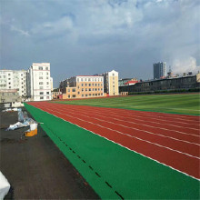 新國標(biāo)混合型自塑膠跑道材料 操場環(huán)保塑膠跑道施工 塑膠跑道材料 塑膠跑道 新國標(biāo)混合型自結(jié)紋塑膠跑道材料批發(fā)廠家