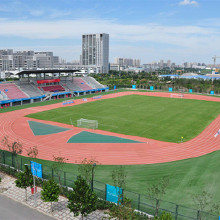 綠昂場地材料批發 透氣型塑膠跑道   塑膠跑道廠家   塑膠跑道包工包料