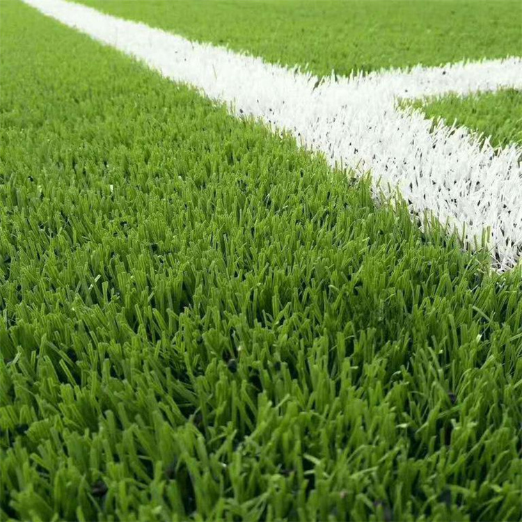 勝鑫 <a href=http://m.cnzcn.net.cn target=_blank class=infotextkey>塑膠跑道</a>定制<a href=http://m.cnzcn.net.cn target=_blank class=infotextkey>塑膠跑道</a>