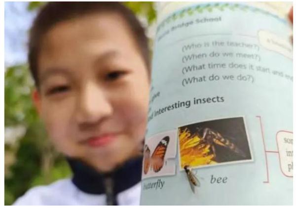 后生可畏！又有學(xué)生發(fā)現(xiàn)教科書(shū)錯(cuò)誤，這次是上海10后！