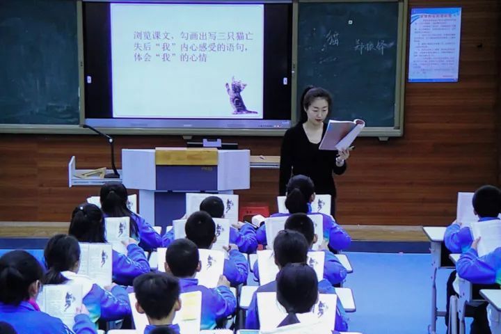 語文怪象：學(xué)的是草船借箭，考的卻是赤壁之戰(zhàn)，考得越廣學(xué)得越淺