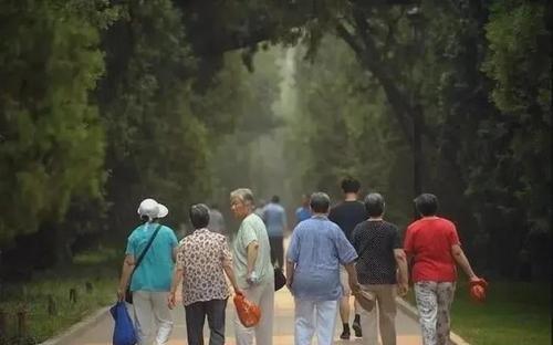 開放三胎政策“遇冷”，廈大教授提議：不生孩子就下調養老金